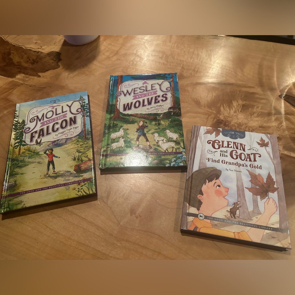 Good and Beautiful Books- level 2- Brand New